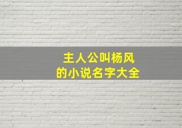 主人公叫杨风的小说名字大全