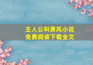 主人公叫萧风小说免费阅读下载全文