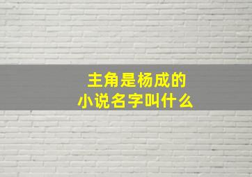 主角是杨成的小说名字叫什么