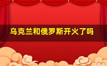 乌克兰和俄罗斯开火了吗