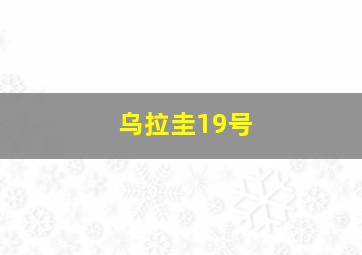 乌拉圭19号