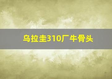 乌拉圭310厂牛骨头