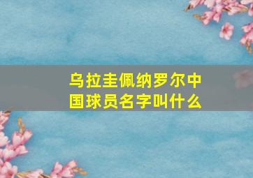 乌拉圭佩纳罗尔中国球员名字叫什么