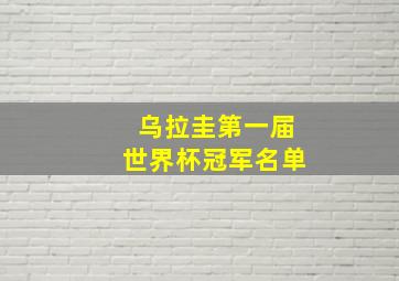 乌拉圭第一届世界杯冠军名单