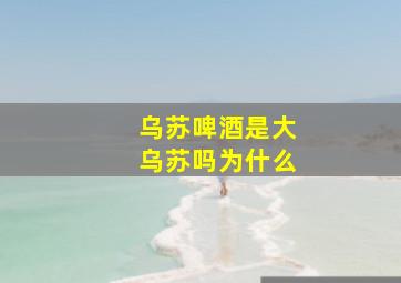 乌苏啤酒是大乌苏吗为什么