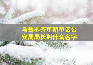 乌鲁木齐市新市区公安局局长叫什么名字