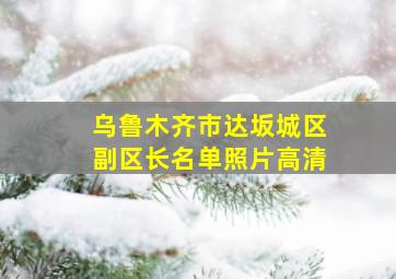 乌鲁木齐市达坂城区副区长名单照片高清