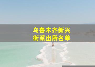 乌鲁木齐新兴街派出所名单