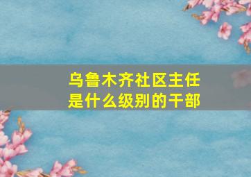 乌鲁木齐社区主任是什么级别的干部