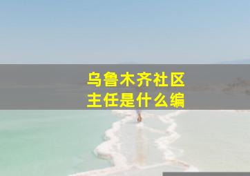 乌鲁木齐社区主任是什么编