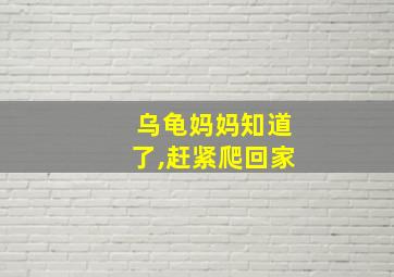 乌龟妈妈知道了,赶紧爬回家