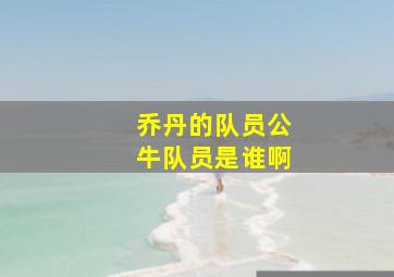 乔丹的队员公牛队员是谁啊