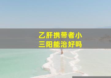 乙肝携带者小三阳能治好吗