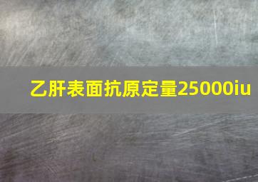 乙肝表面抗原定量25000iu