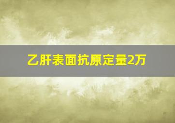 乙肝表面抗原定量2万