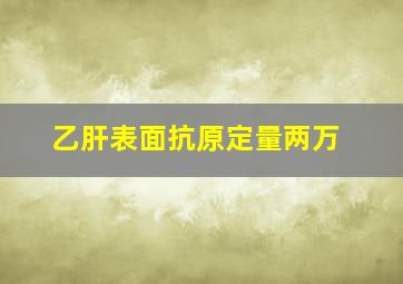 乙肝表面抗原定量两万