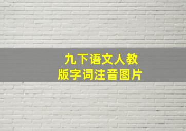 九下语文人教版字词注音图片