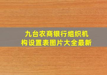 九台农商银行组织机构设置表图片大全最新