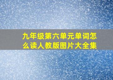 九年级第六单元单词怎么读人教版图片大全集