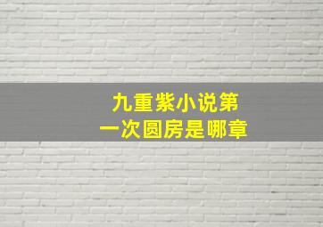 九重紫小说第一次圆房是哪章