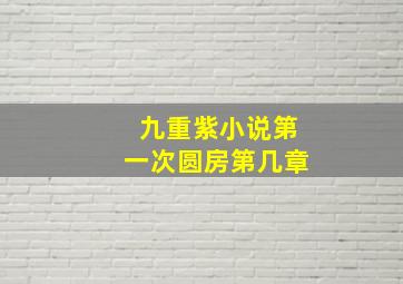 九重紫小说第一次圆房第几章