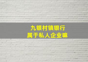 九银村镇银行属于私人企业嘛