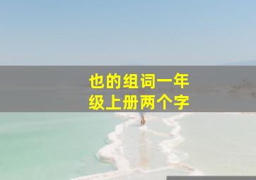 也的组词一年级上册两个字