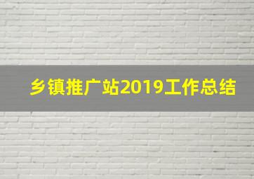 乡镇推广站2019工作总结