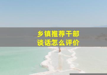 乡镇推荐干部谈话怎么评价