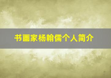 书画家杨翰儒个人简介