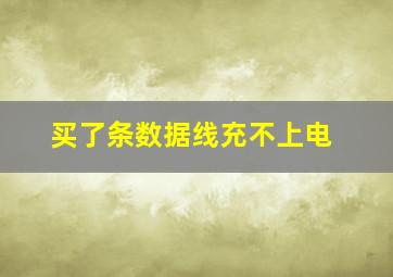 买了条数据线充不上电