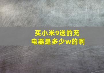 买小米9送的充电器是多少w的啊