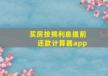 买房按揭利息提前还款计算器app