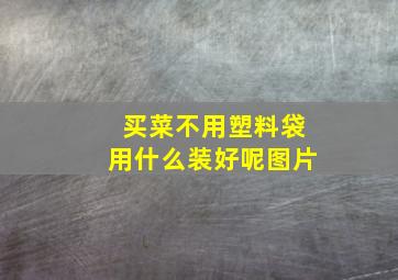 买菜不用塑料袋用什么装好呢图片