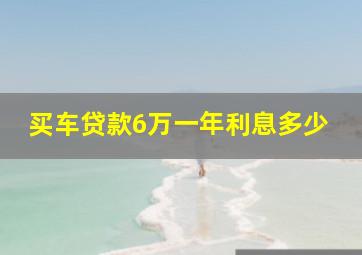 买车贷款6万一年利息多少