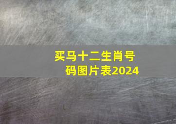 买马十二生肖号码图片表2024