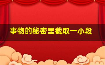 事物的秘密里截取一小段