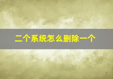 二个系统怎么删除一个