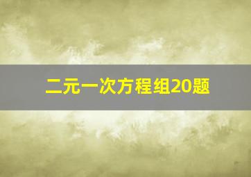 二元一次方程组20题