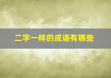 二字一样的成语有哪些