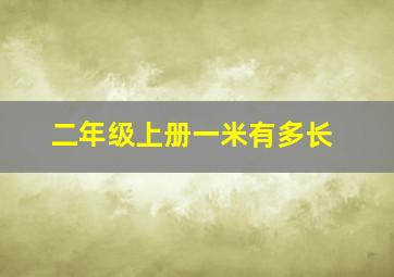 二年级上册一米有多长