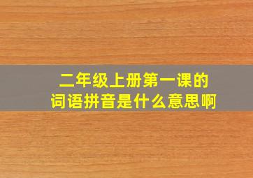 二年级上册第一课的词语拼音是什么意思啊