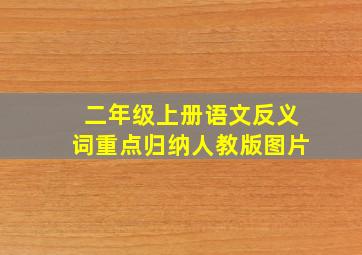 二年级上册语文反义词重点归纳人教版图片