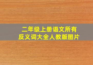 二年级上册语文所有反义词大全人教版图片