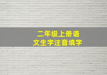 二年级上册语文生字注音填字