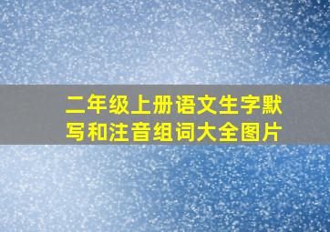 二年级上册语文生字默写和注音组词大全图片