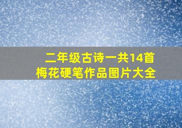 二年级古诗一共14首梅花硬笔作品图片大全