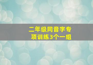 二年级同音字专项训练3个一组