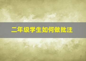 二年级学生如何做批注