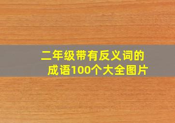 二年级带有反义词的成语100个大全图片